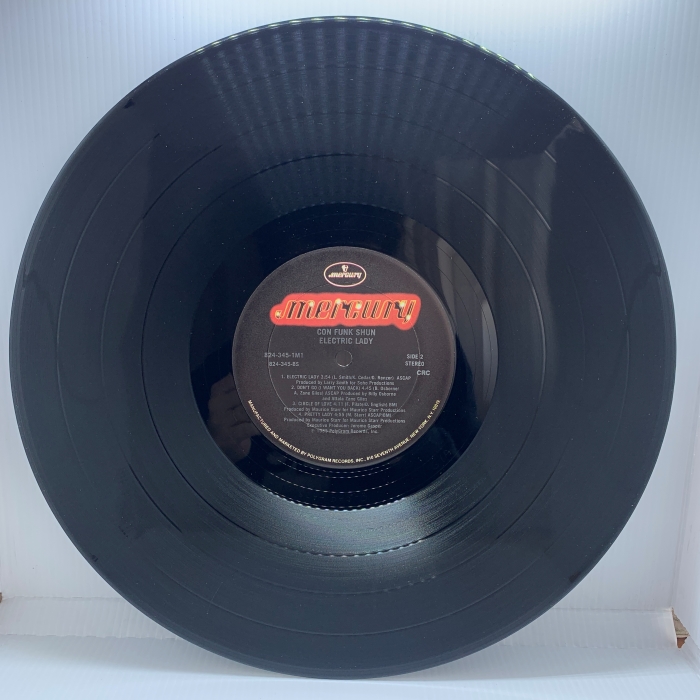 CON FUNK SHUN - ELECTRIC LADY - Imagem 4