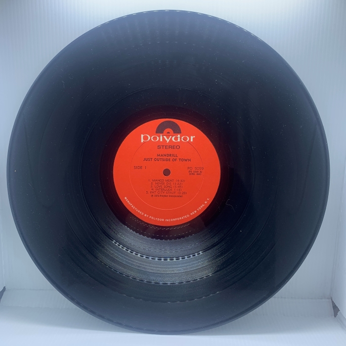 MANDRILL - JUST OUTSIDE OF TOWN - Imagem 3