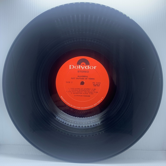 MANDRILL - JUST OUTSIDE OF TOWN - Imagem 4