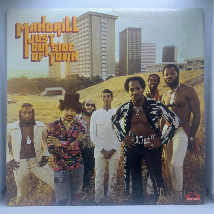 MANDRILL - JUST OUTSIDE OF TOWN