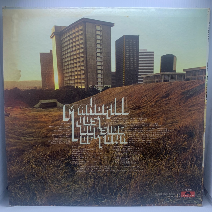 MANDRILL - JUST OUTSIDE OF TOWN - Imagem 2