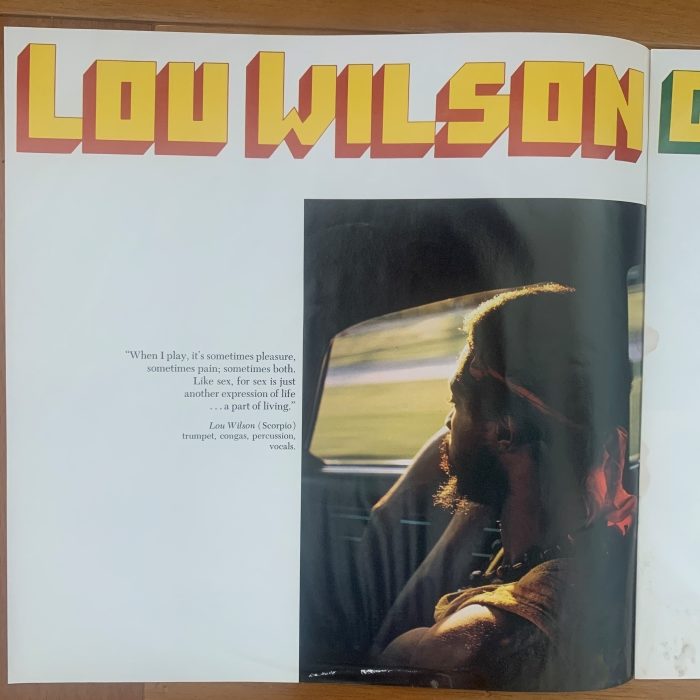 MANDRILL - JUST OUTSIDE OF TOWN - Imagem 6