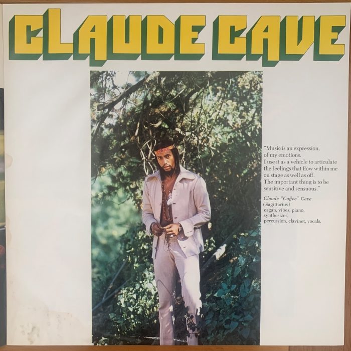 MANDRILL - JUST OUTSIDE OF TOWN - Imagem 7