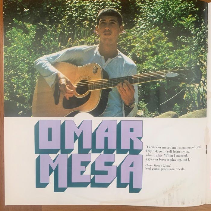 MANDRILL - JUST OUTSIDE OF TOWN - Imagem 8