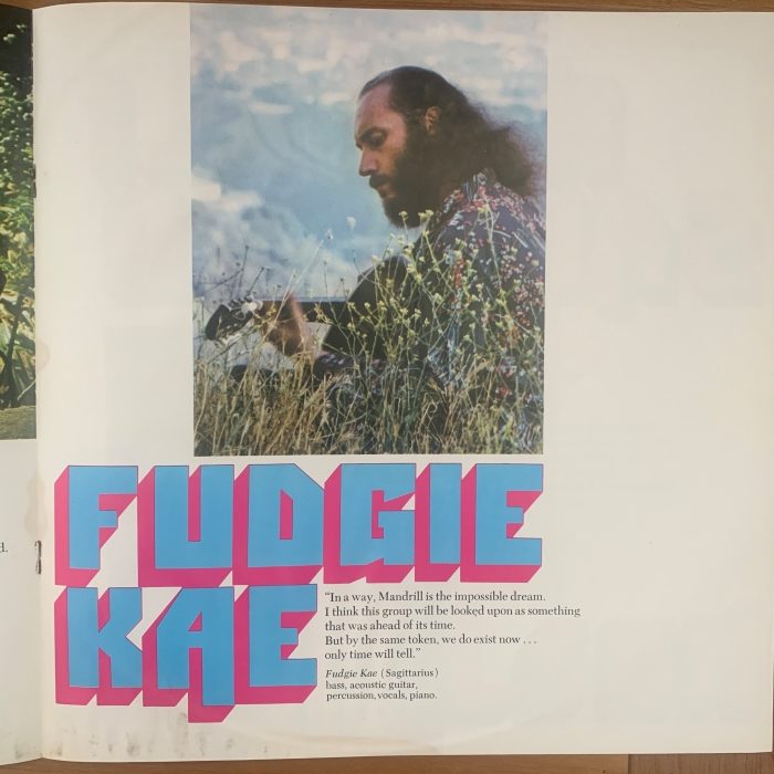 MANDRILL - JUST OUTSIDE OF TOWN - Imagem 9