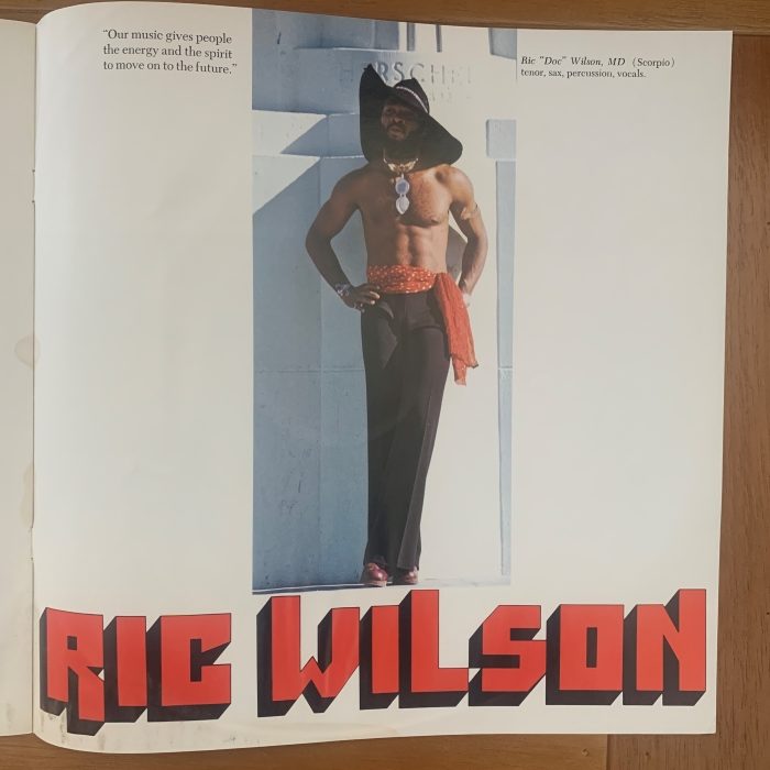 MANDRILL - JUST OUTSIDE OF TOWN - Imagem 10