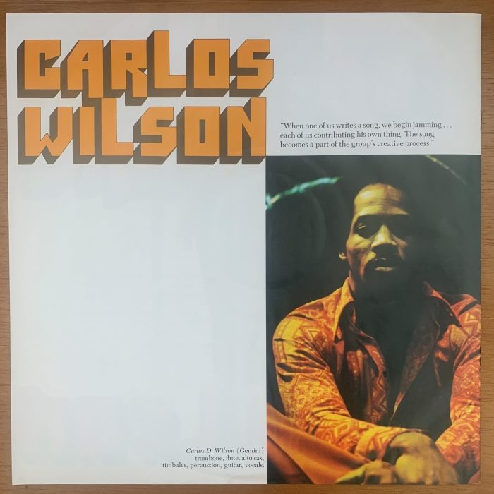 MANDRILL - JUST OUTSIDE OF TOWN - Imagem 11