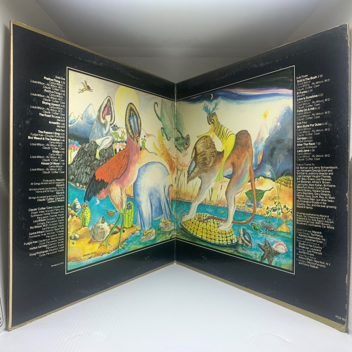 MANDRILL - MANDRILLAND - Imagem 7