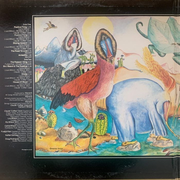 MANDRILL - MANDRILLAND - Imagem 8