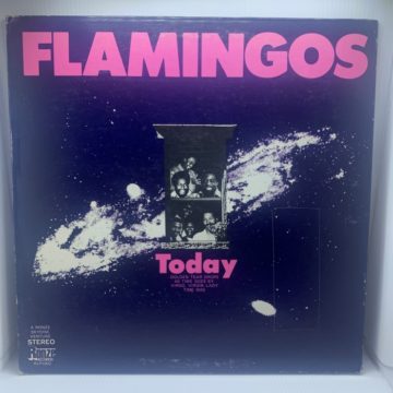 THE FLAMINGOS - TODAY