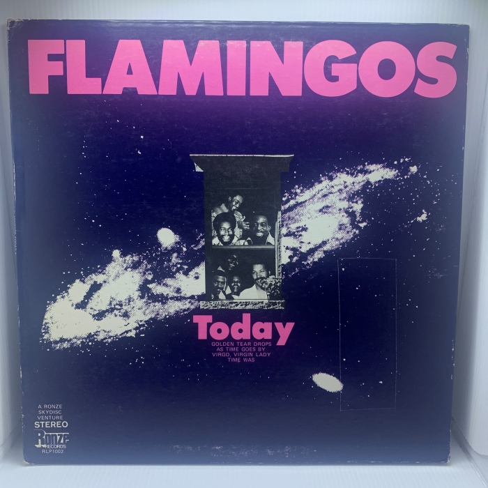 THE FLAMINGOS - TODAY