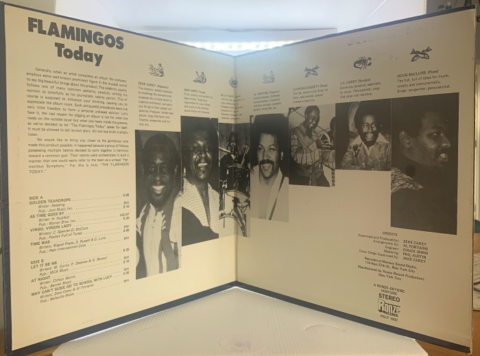 THE FLAMINGOS - TODAY - Imagem 3