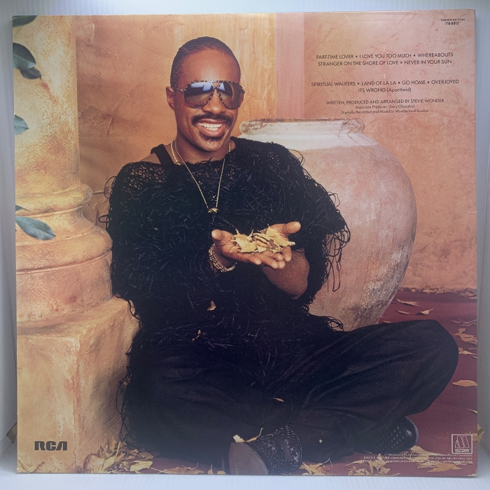 STEVIE WONDER - IN SQUARE CIRCLE - Imagem 2